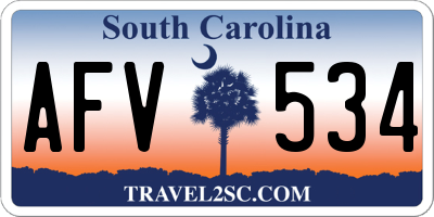 SC license plate AFV534