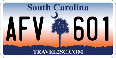 SC license plate AFV601