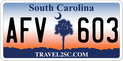 SC license plate AFV603