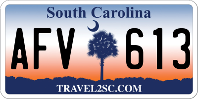 SC license plate AFV613