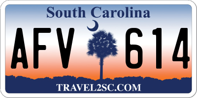 SC license plate AFV614