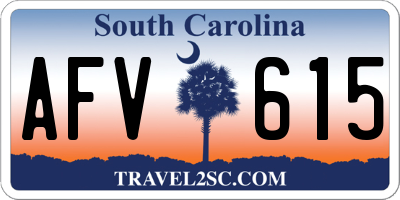 SC license plate AFV615
