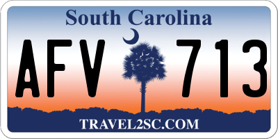 SC license plate AFV713