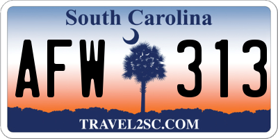 SC license plate AFW313