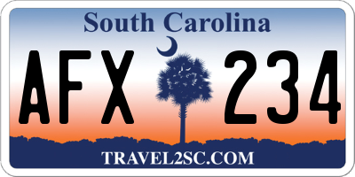SC license plate AFX234