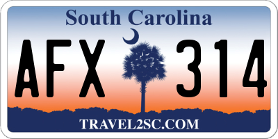 SC license plate AFX314