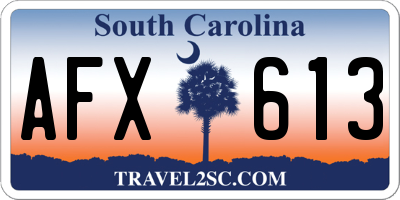 SC license plate AFX613