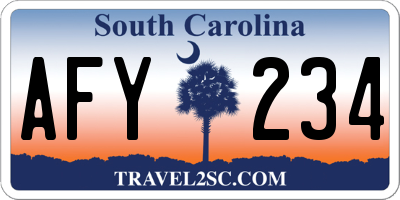 SC license plate AFY234