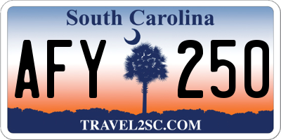 SC license plate AFY250