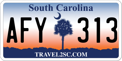 SC license plate AFY313