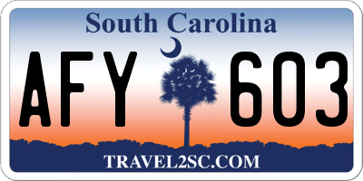 SC license plate AFY603