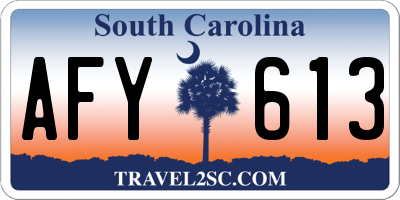SC license plate AFY613