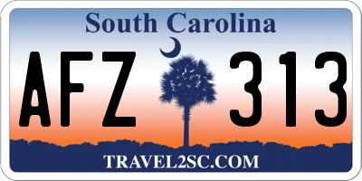 SC license plate AFZ313