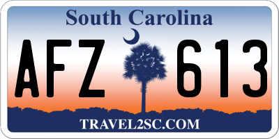 SC license plate AFZ613