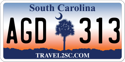 SC license plate AGD313