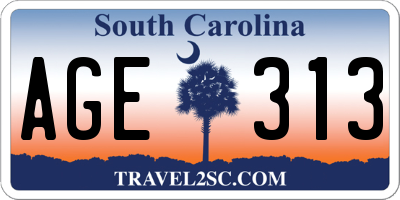 SC license plate AGE313