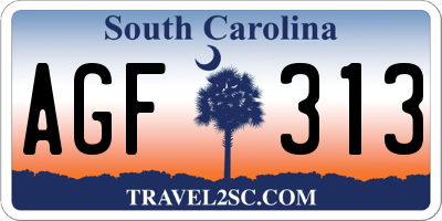 SC license plate AGF313