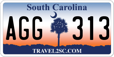 SC license plate AGG313