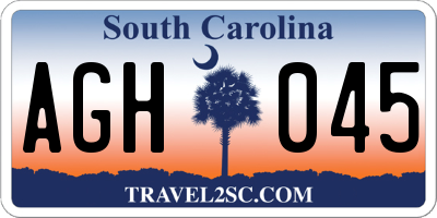 SC license plate AGH045