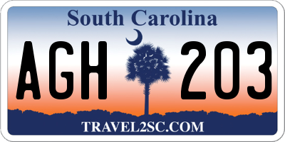 SC license plate AGH203