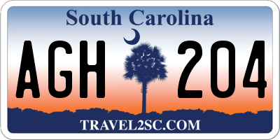 SC license plate AGH204