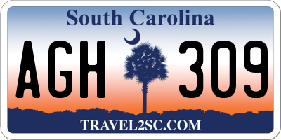 SC license plate AGH309