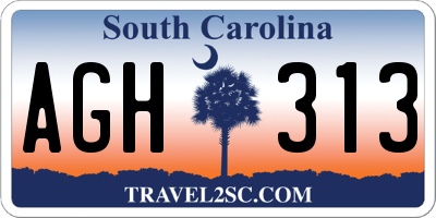 SC license plate AGH313