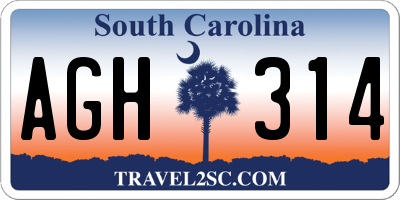 SC license plate AGH314