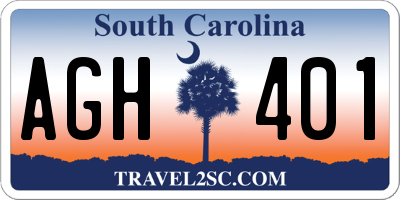 SC license plate AGH401