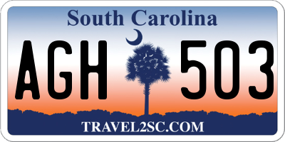 SC license plate AGH503