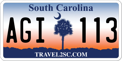 SC license plate AGI113