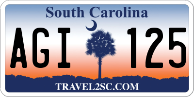 SC license plate AGI125