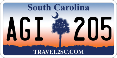 SC license plate AGI205
