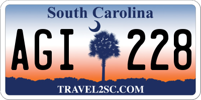SC license plate AGI228