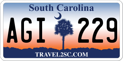 SC license plate AGI229