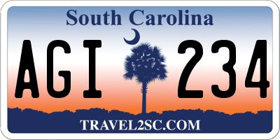 SC license plate AGI234