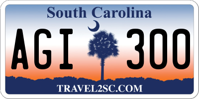 SC license plate AGI300