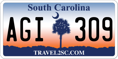 SC license plate AGI309