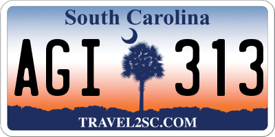 SC license plate AGI313