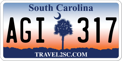 SC license plate AGI317