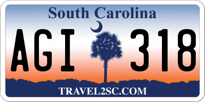 SC license plate AGI318