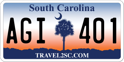 SC license plate AGI401