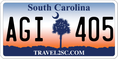 SC license plate AGI405