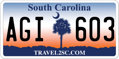 SC license plate AGI603