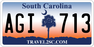 SC license plate AGI713