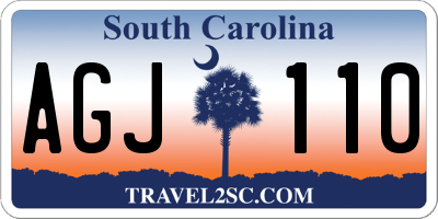 SC license plate AGJ110
