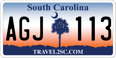 SC license plate AGJ113