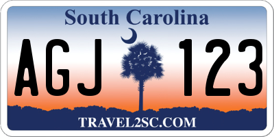 SC license plate AGJ123