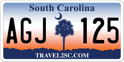 SC license plate AGJ125