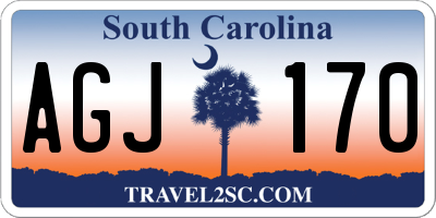 SC license plate AGJ170